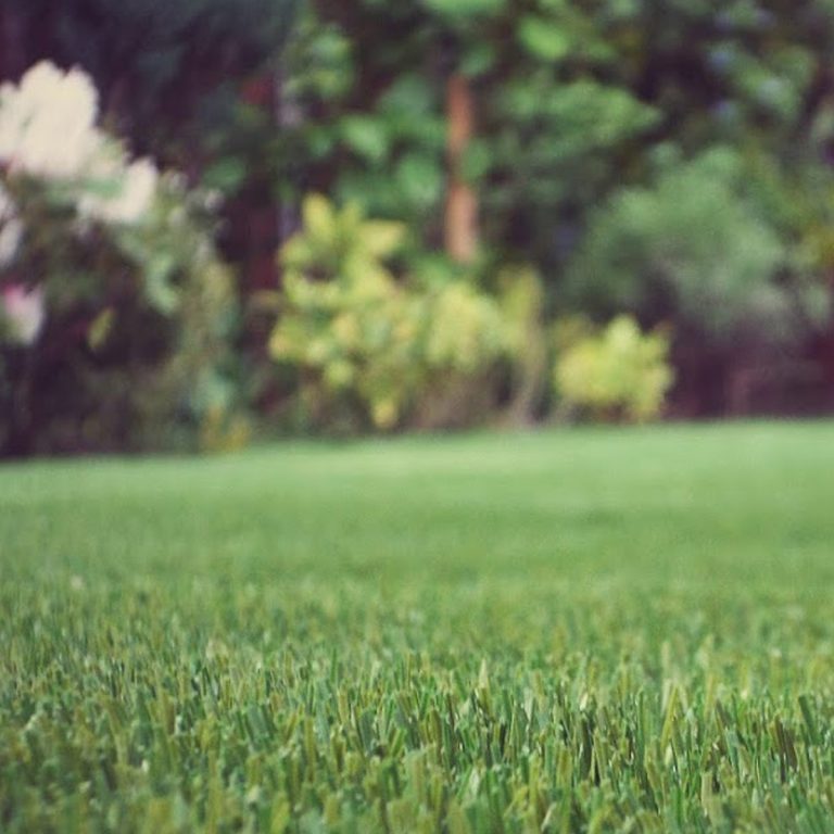 Empire Carpets home interior & flooring Morecambe and Lancaster